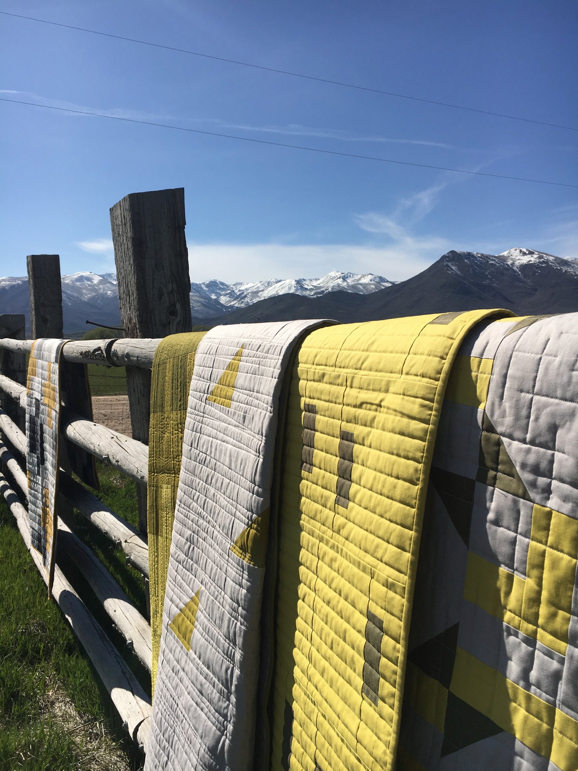 Amy Ellis's Pickle Juice Quilt Pattern featuring a versatile modern design suitable for all skill levels